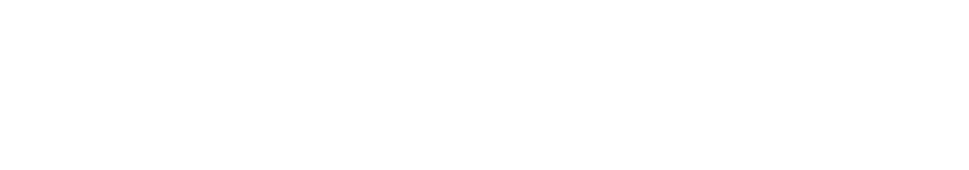 STRÖM